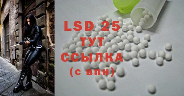 крисы Чита