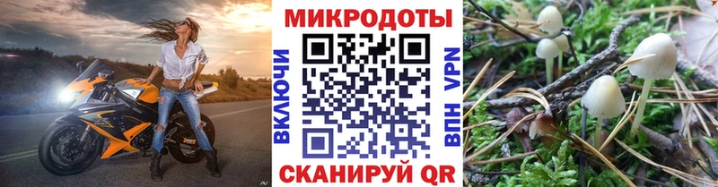 Псилоцибиновые грибы GOLDEN TEACHER  Зерноград 