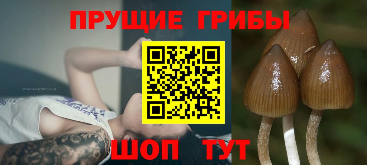 Зерноград  магазин  наркотиков  Вход с VPN  Галлюциногенные грибы мухоморы 