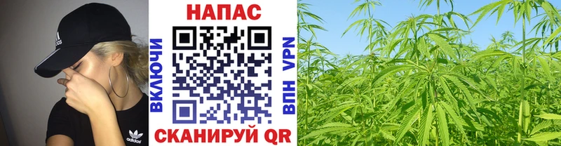 МАРИХУАНА индика  купить закладку  Зерноград 